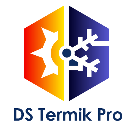 Logo dizajn za Ds Termik Pro – rad agencije DesignJust4You